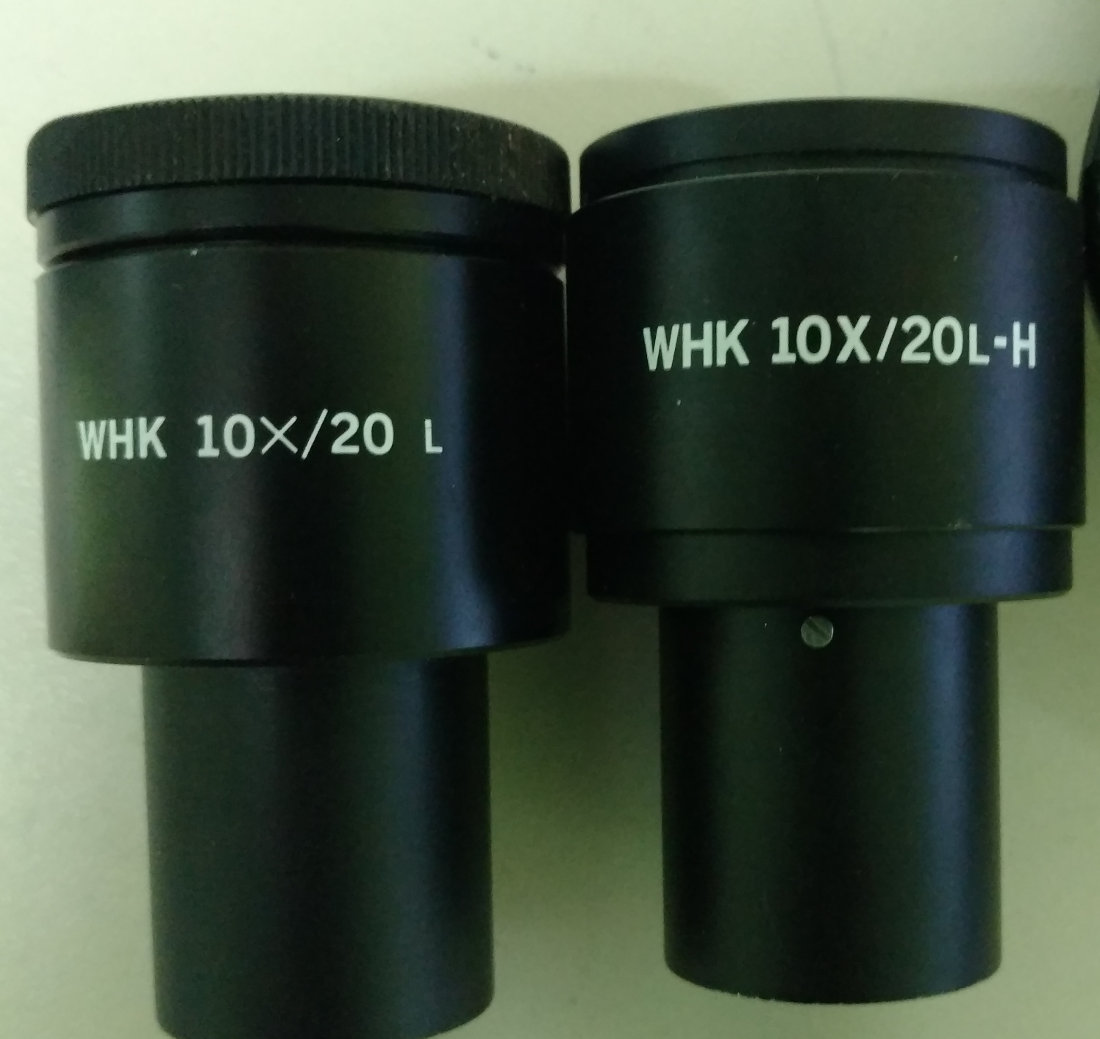 Olympus BXFM 