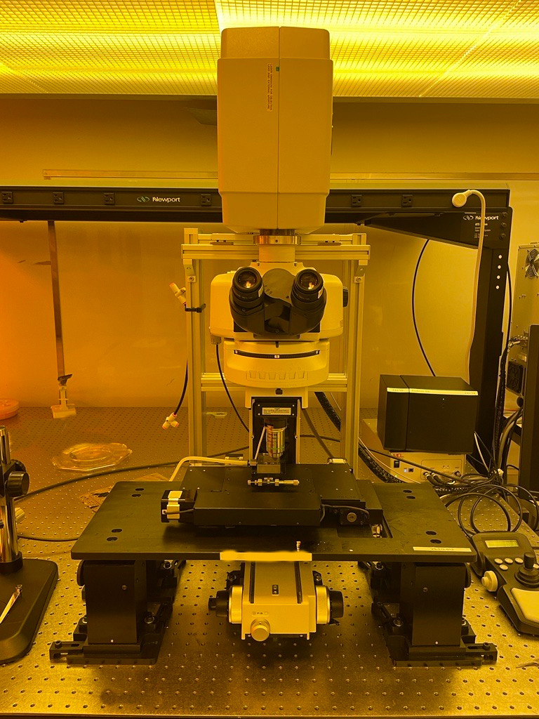 Brewer Science 200 